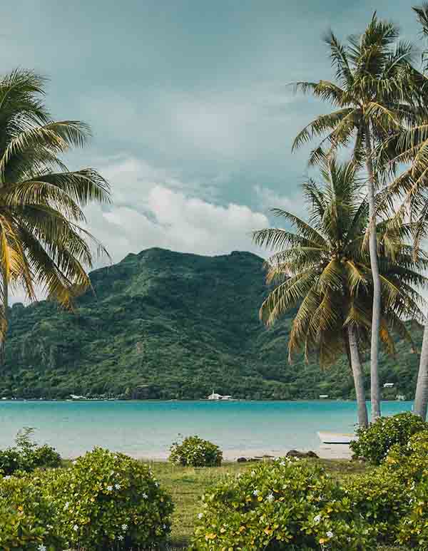 L’ÉNERGIE VAGABONDE, NOTRE INSPIRATION POUR CE CALENDRIER DE L’AVENT