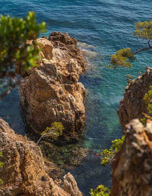LA CHARME AUTHENTIQUE DE LA MÉDITÉRRANÉE À TOULON, HYÈRES ET PORQUEROLLES